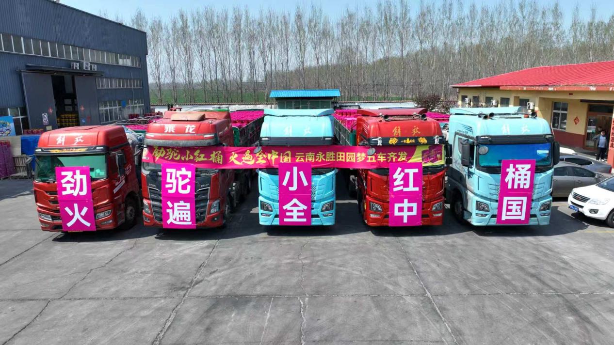 3e2851bccf540dc60efe10a56304e063