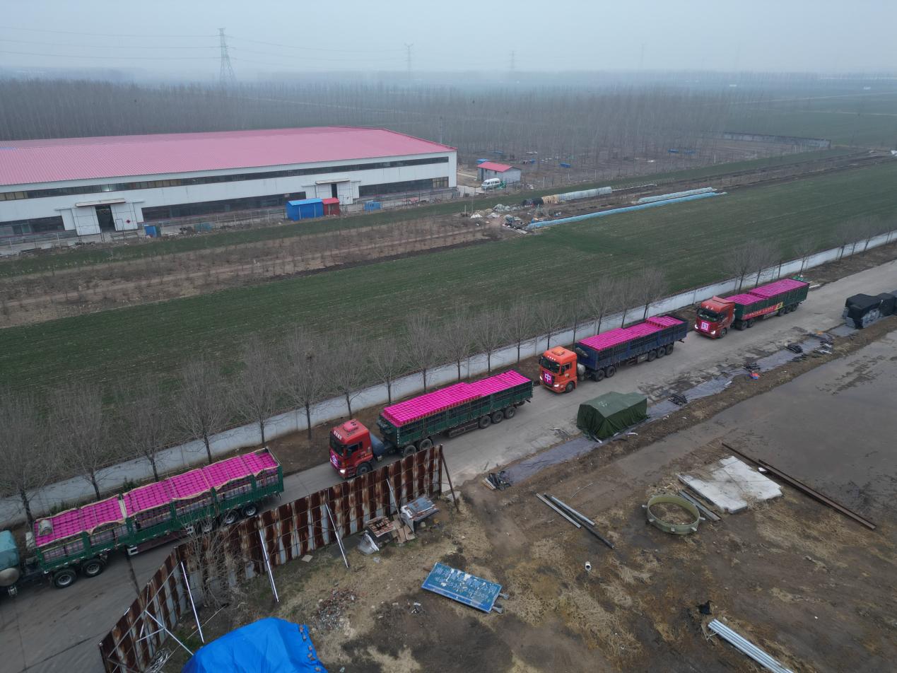 DJI_0811